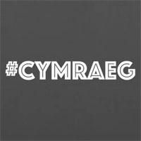 Crys T a Hoodies Cymraeg