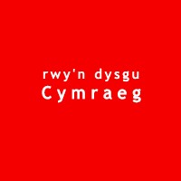 Crys T a Hoodies rwy'n dysgu Cymraeg